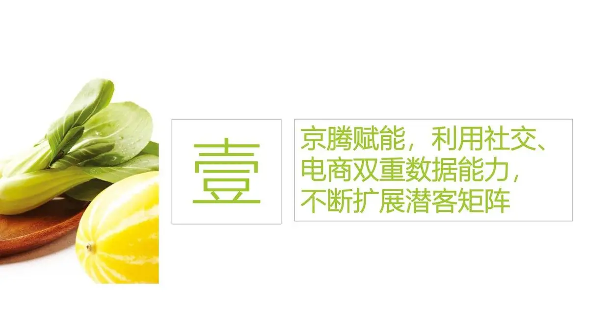 韩国惠人品牌全年全线运营方案建议PPT模板 - 第16页