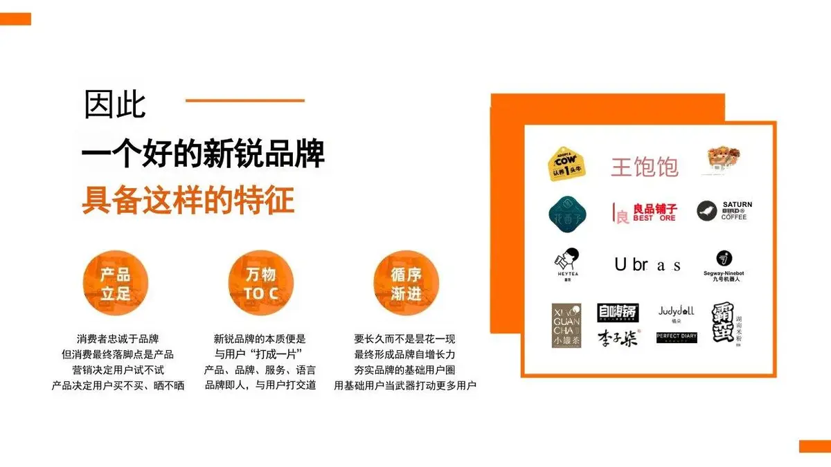 臻味新锐品牌策略设想与传播规划PPT模板 - 第5页