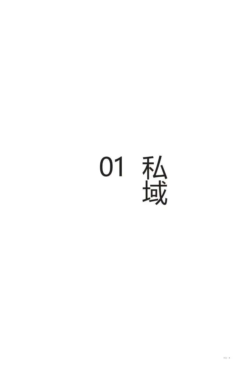 抖音加私域各行各业赚钱案例详解营销推广方案模板 - 第2页
