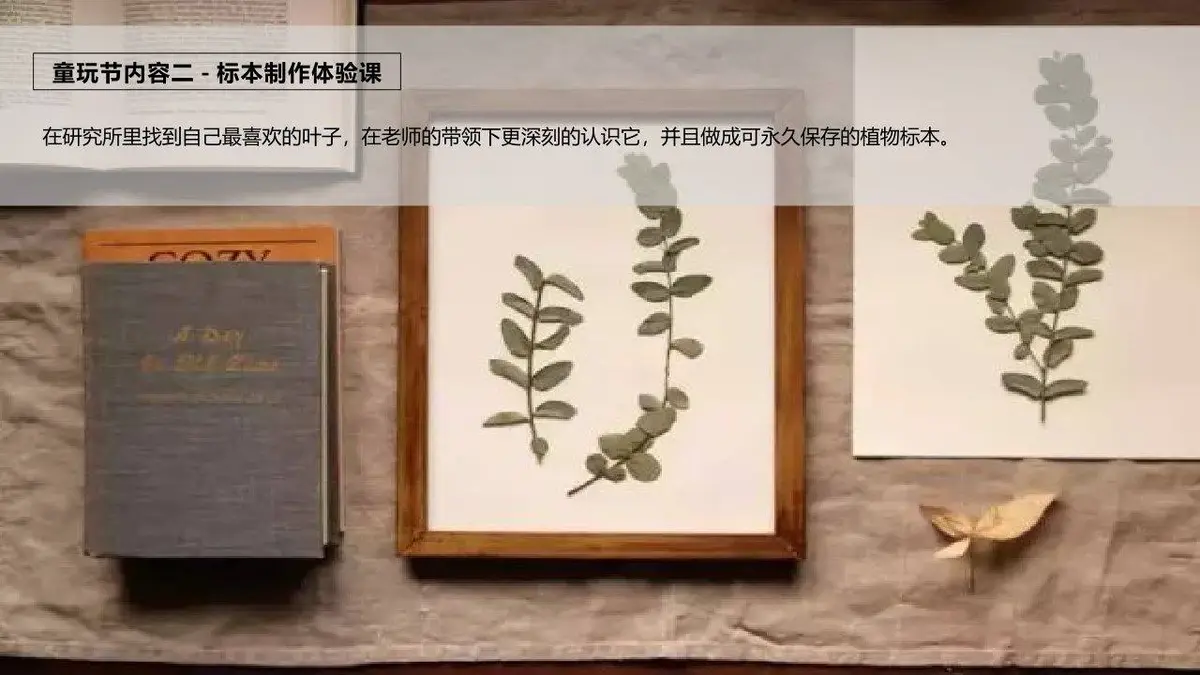 野外自然营山间萤火暑期自然童玩研学营活动策划案PPT模板 - 第15页