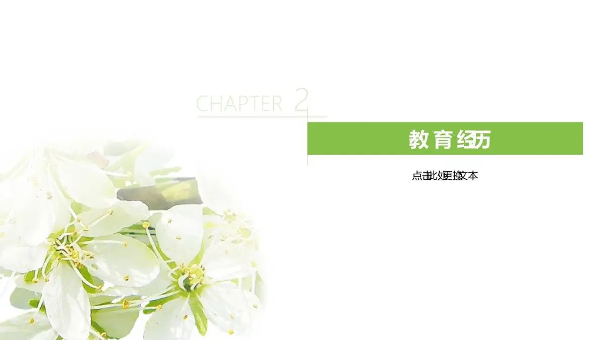 简约花卉个人简历 - 第8页