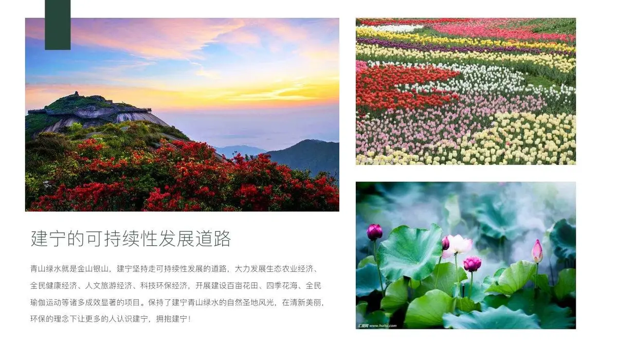 为荷而来瑜你有约瑜伽之旅旅游文化节活动策划PPT模板 - 第4页
