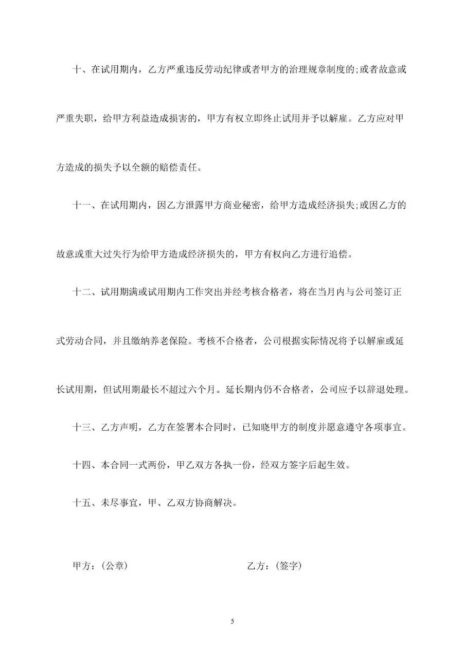员工试用期劳动合同标准正式文档模板 - 第5页