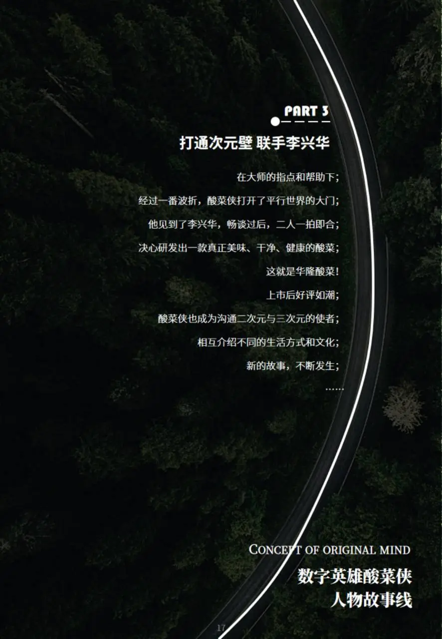 华隆酸菜整体宣传规划方案PPT模板 - 第17页