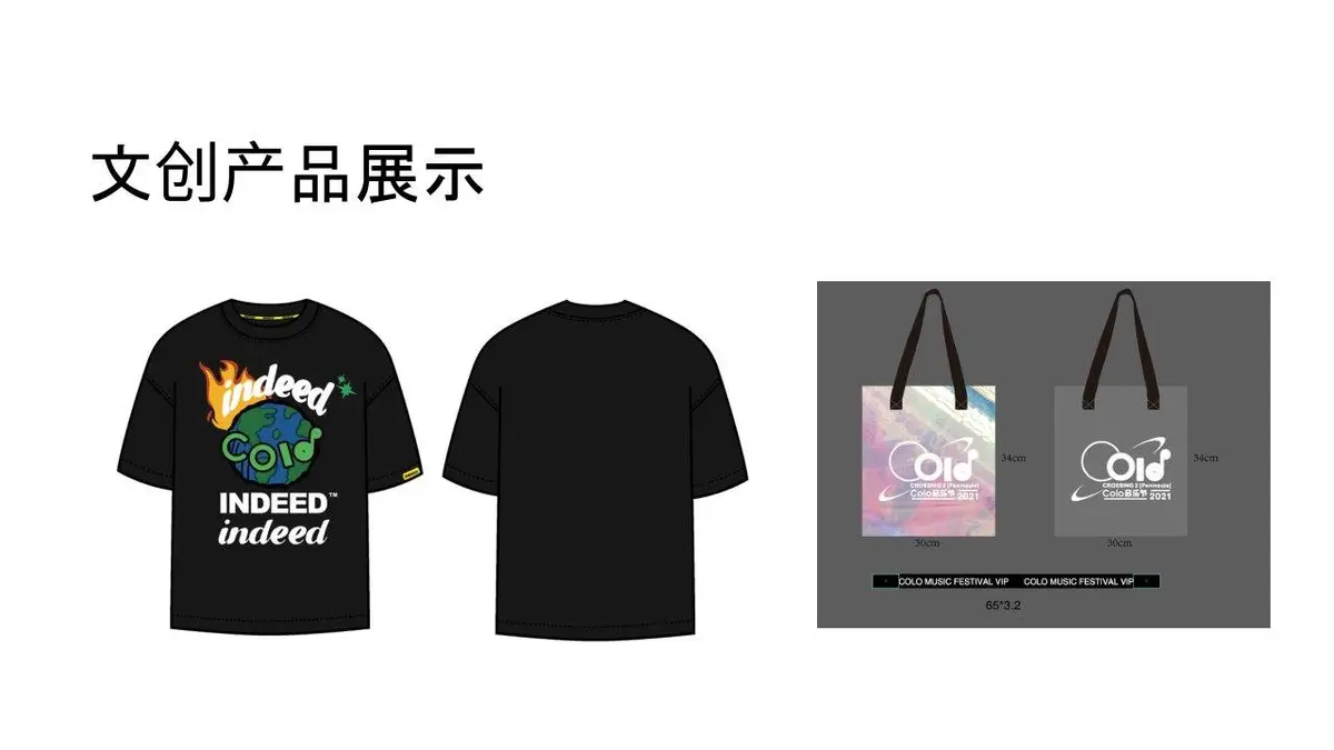 Colo音乐节招商方案活动策划PPT模板 - 第23页