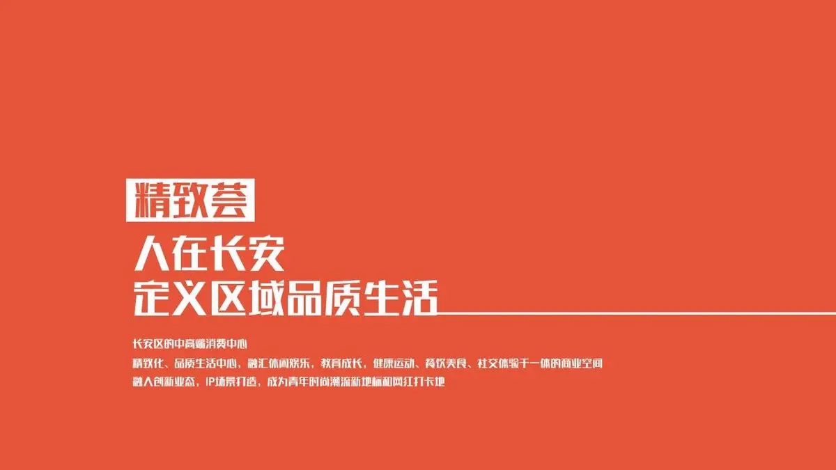 长百精致荟商业招商手册PPT模板 - 第9页