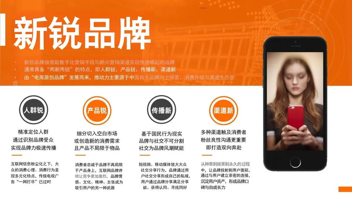 臻味新锐品牌策略设想与传播规划PPT模板 - 第3页