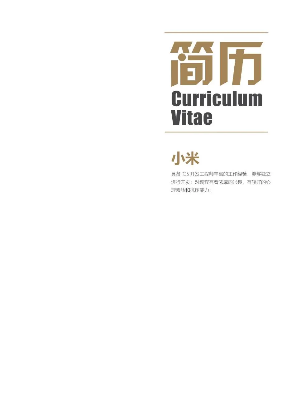 简约大气IOS开发工程师求职简历Word模板 - 第1页