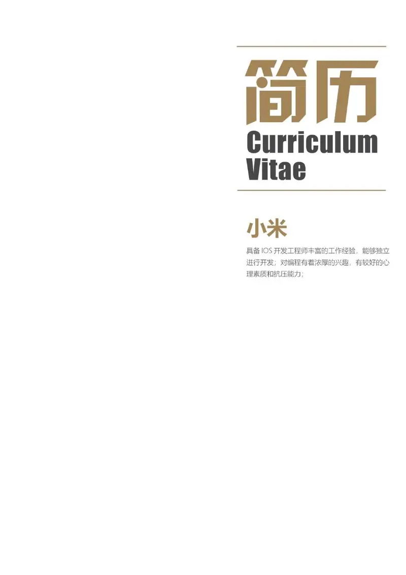 简约大气IOS开发工程师求职简历Word模板 - 封面预览