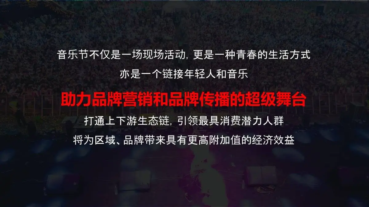 Colo音乐节招商方案活动策划PPT模板 - 第4页