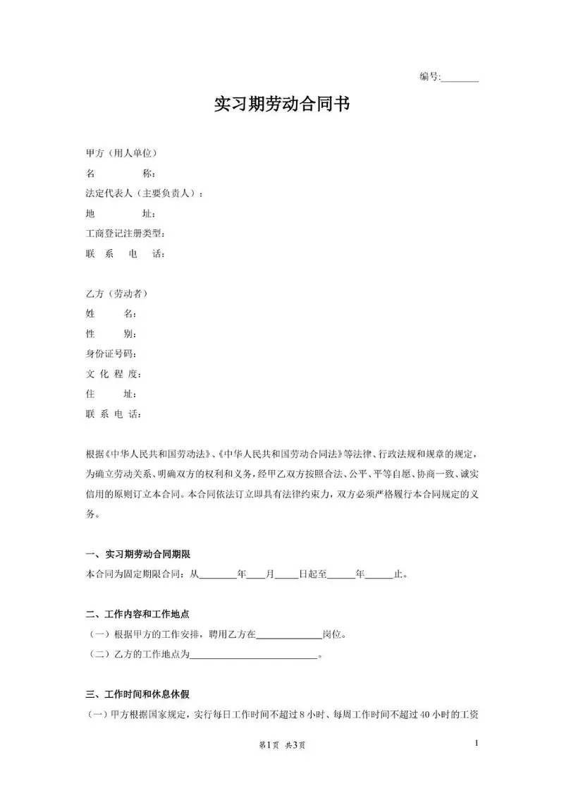 实习期劳动合同书标准模板 适用于企业与实习人员签订合规劳务协议文档 - 封面预览