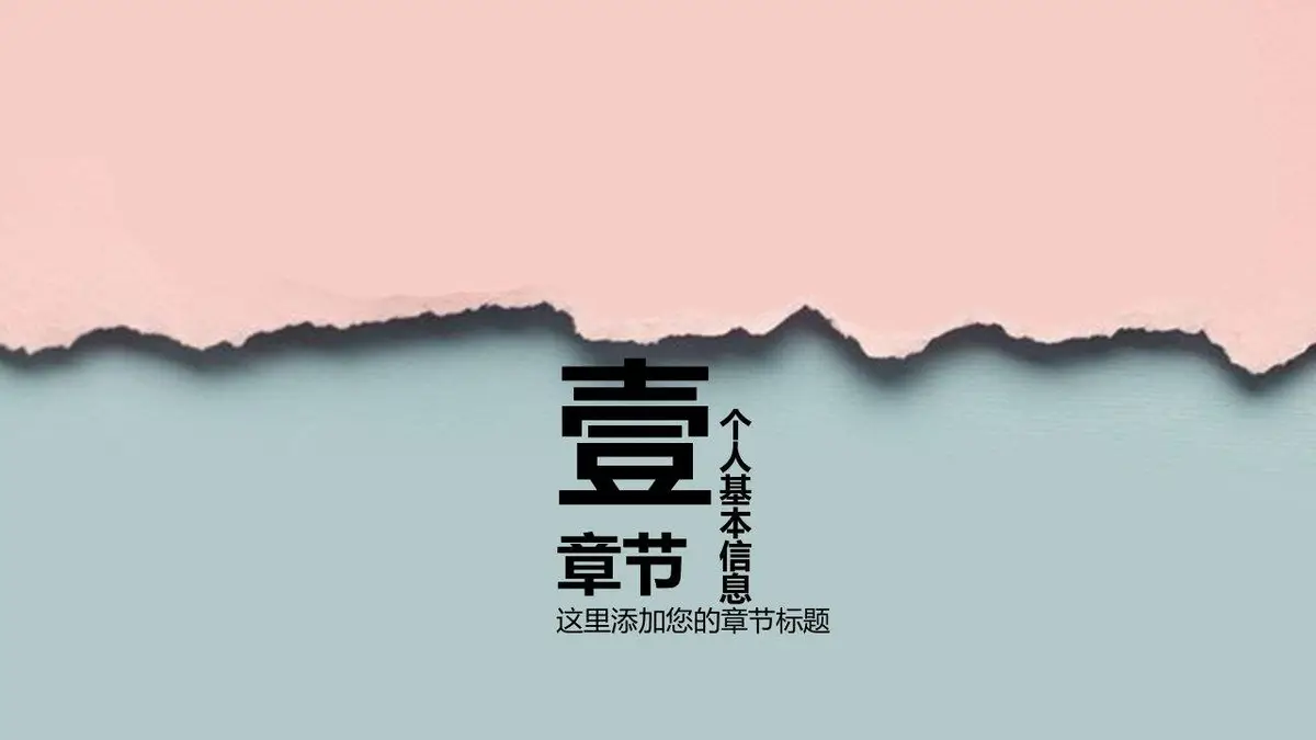 个人简历求职竞聘PPT模板 - 第3页