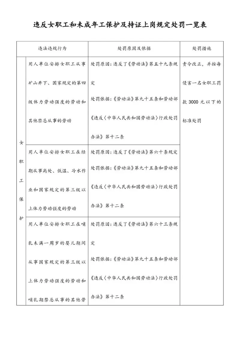 违反女职工和未成年工保护及持证上岗规定处罚一览表格模板 - 封面预览