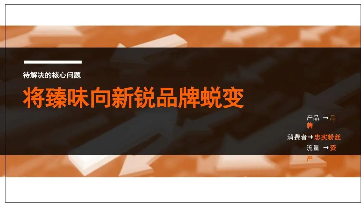 臻味新锐品牌策略设想与传播规划PPT模板 - 第7页