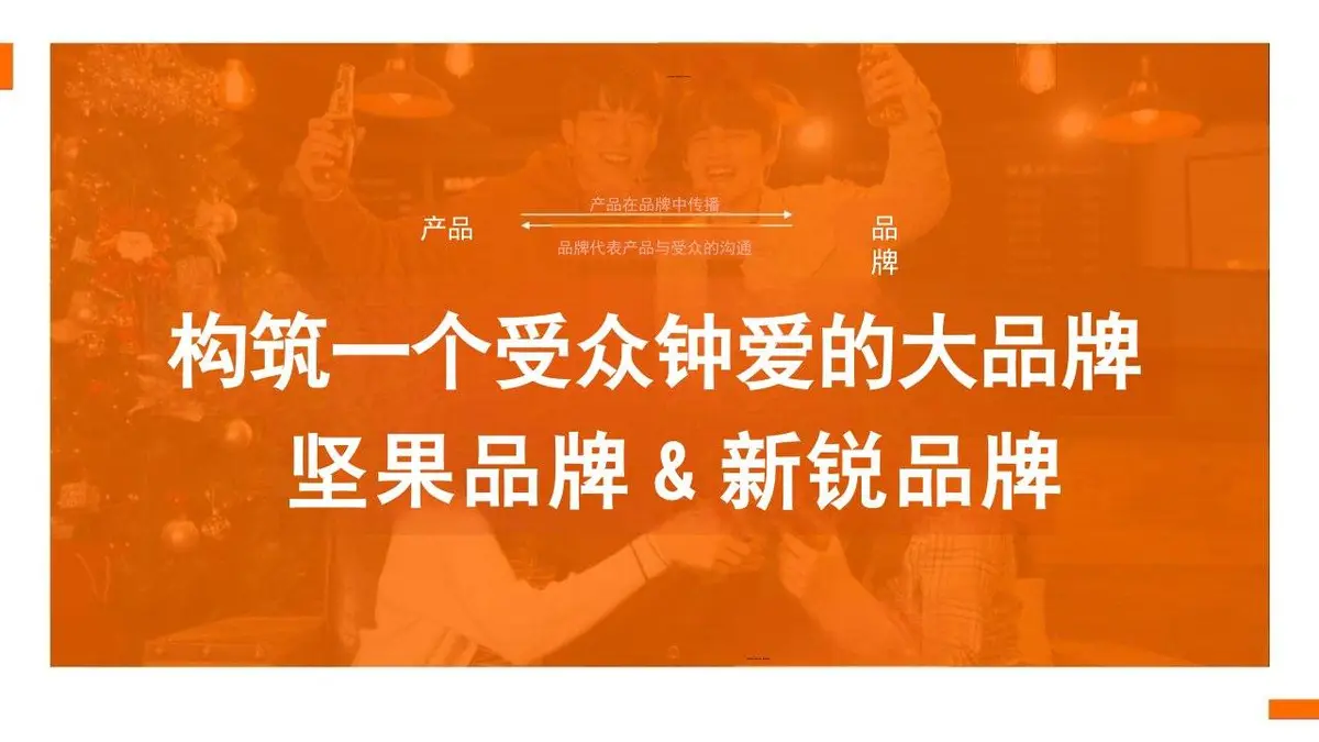 臻味新锐品牌策略设想与传播规划PPT模板 - 第19页