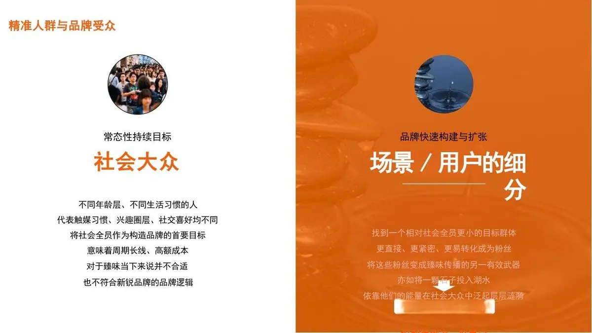 臻味新锐品牌策略设想与传播规划PPT模板 - 第9页