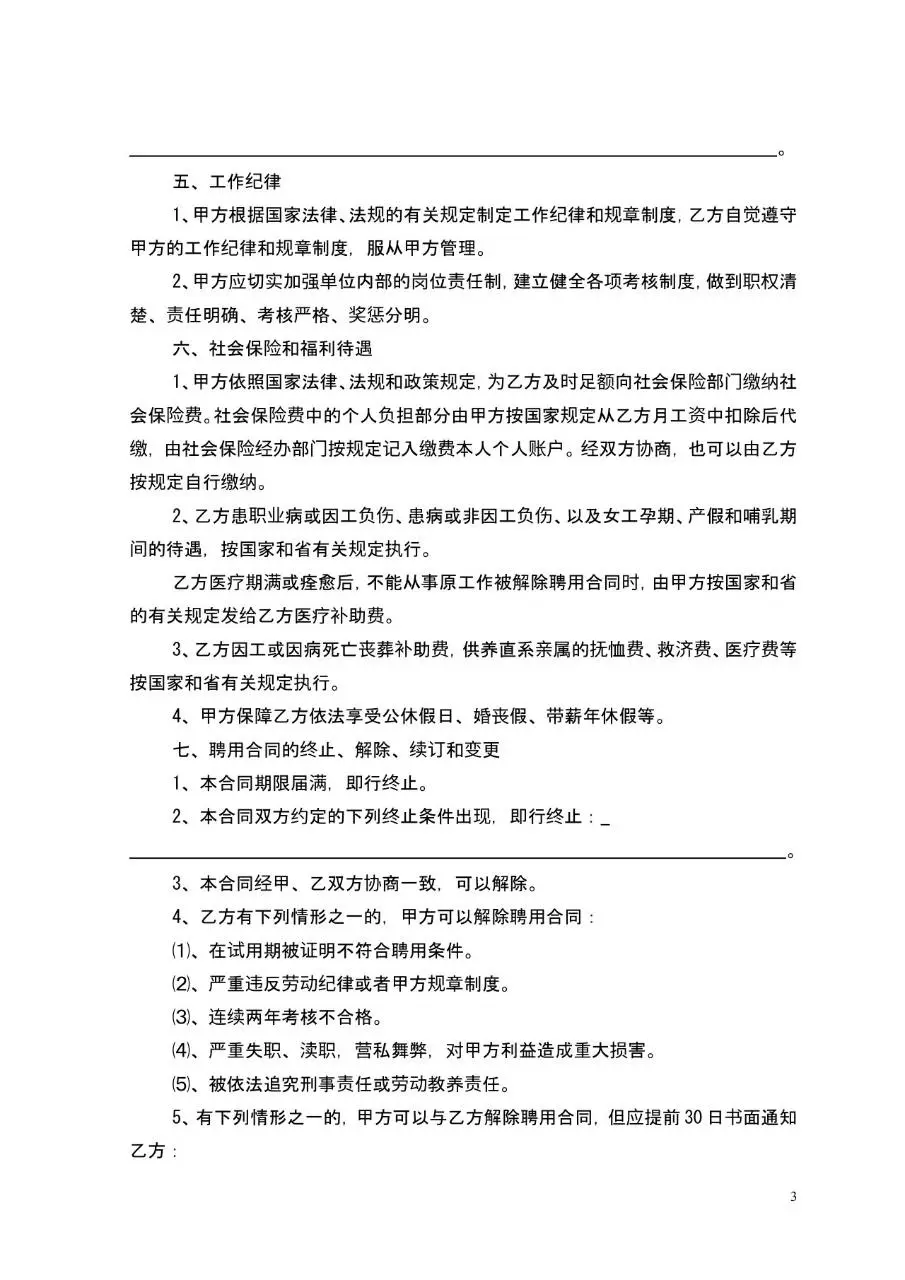 专业技术人员聘用合同书标准通用Word文档模板 - 第3页