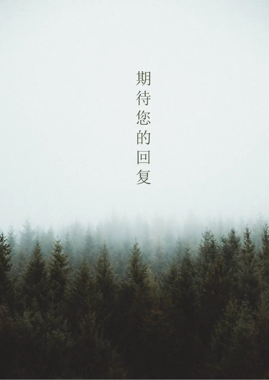森系简约风平面设计专业求职自荐信简历Word文档模板 - 第4页