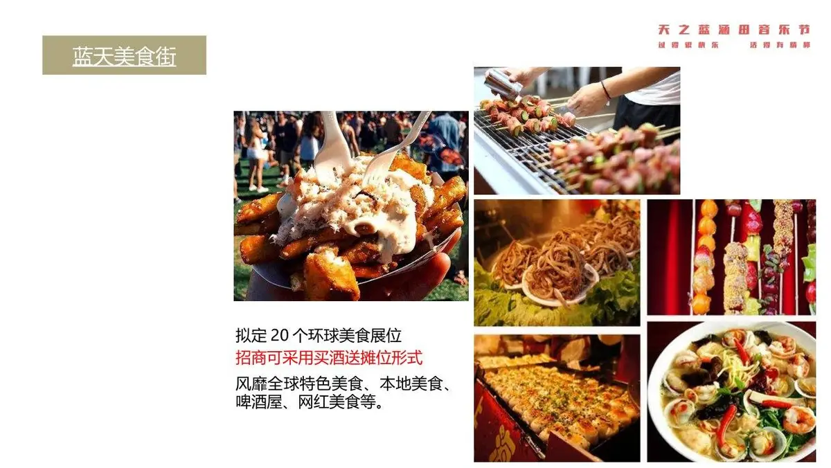 天之蓝涵田音乐节活动策划方案PPT模板 - 第17页
