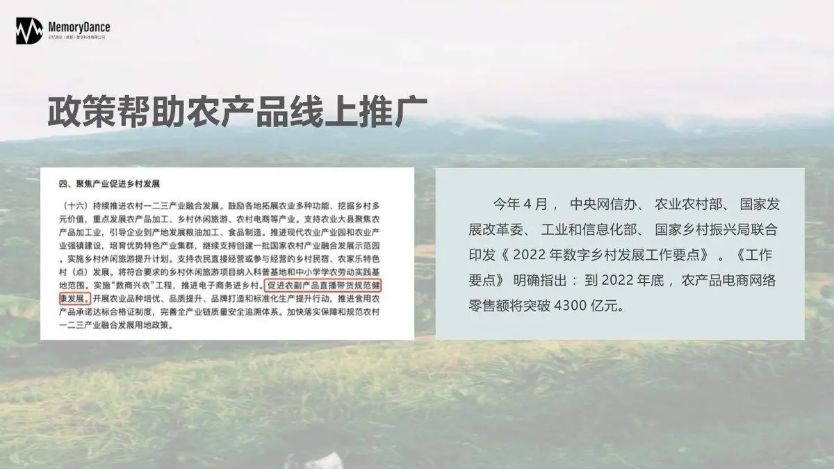 直播天府川农好物直播策划案PPT模板 - 第5页