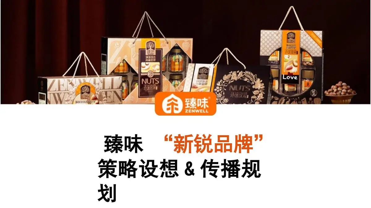 臻味新锐品牌策略设想与传播规划PPT模板 - 第1页