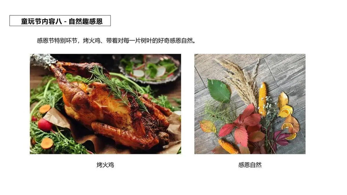 野外自然营山间萤火暑期自然童玩研学营活动策划案PPT模板 - 第21页