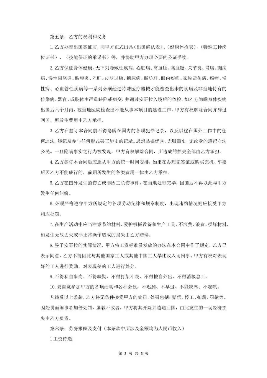 境外劳动雇用合同标准正式文档模板 - 第3页
