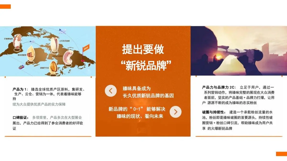 臻味新锐品牌策略设想与传播规划PPT模板 - 第6页