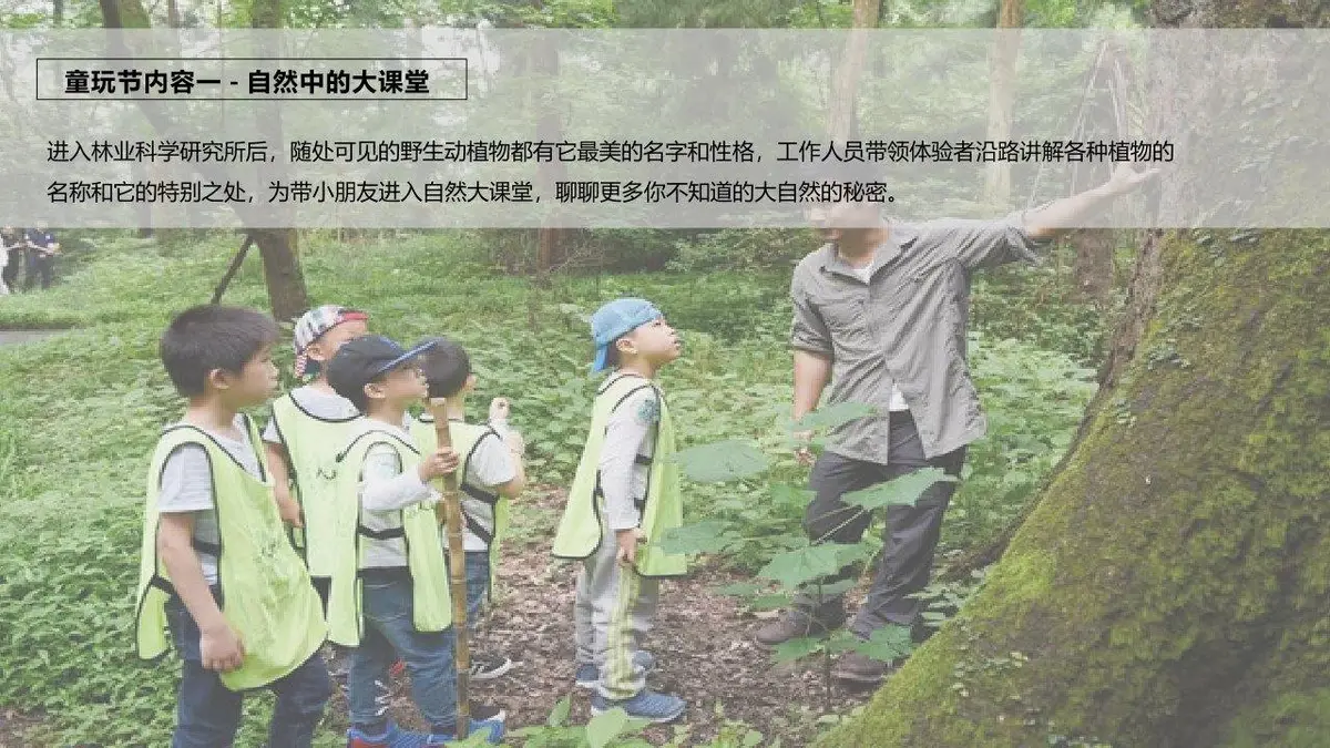 野外自然营山间萤火暑期自然童玩研学营活动策划案PPT模板 - 第14页