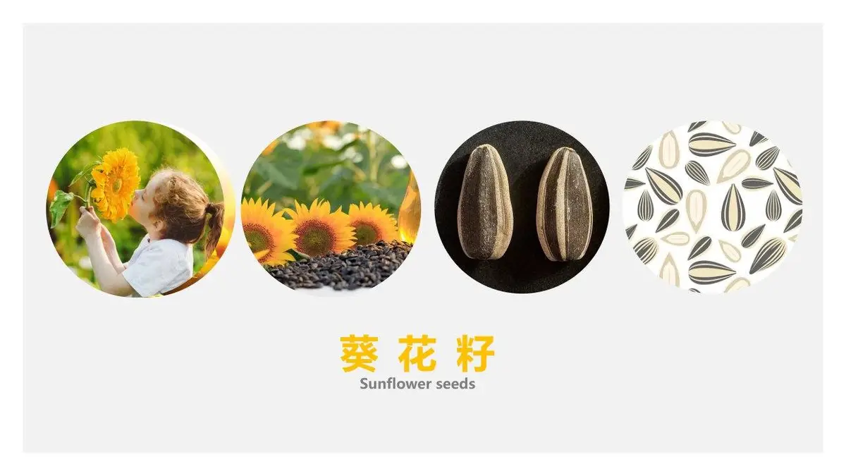 金艺绘教育品牌营销方案 美术培训机构品牌深入人心推广策划PPT模板 - 第15页