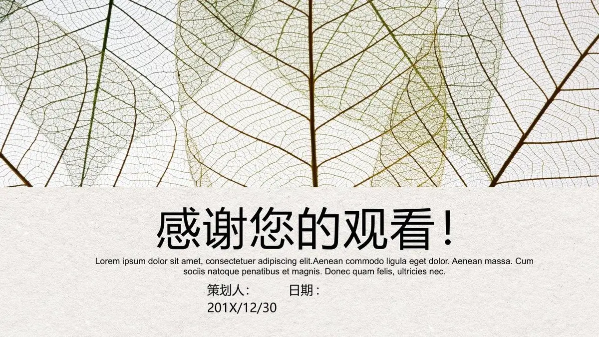 个人简历竞聘求职PPT模板 简约叶脉风岗位竞聘自我介绍演示文稿 - 第24页