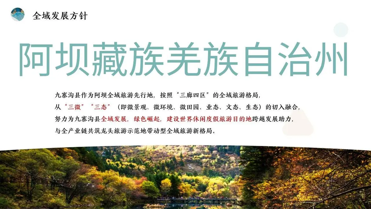 九寨沟县音乐微综艺打造方案活动策划PPT模板 - 第5页