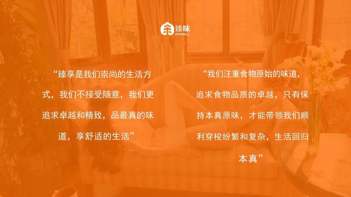臻味新锐品牌策略设想与传播规划PPT模板 - 第21页