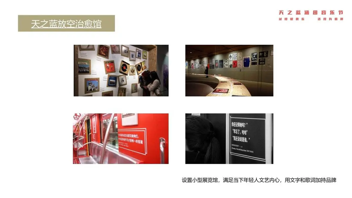 天之蓝涵田音乐节活动策划方案PPT模板 - 第24页