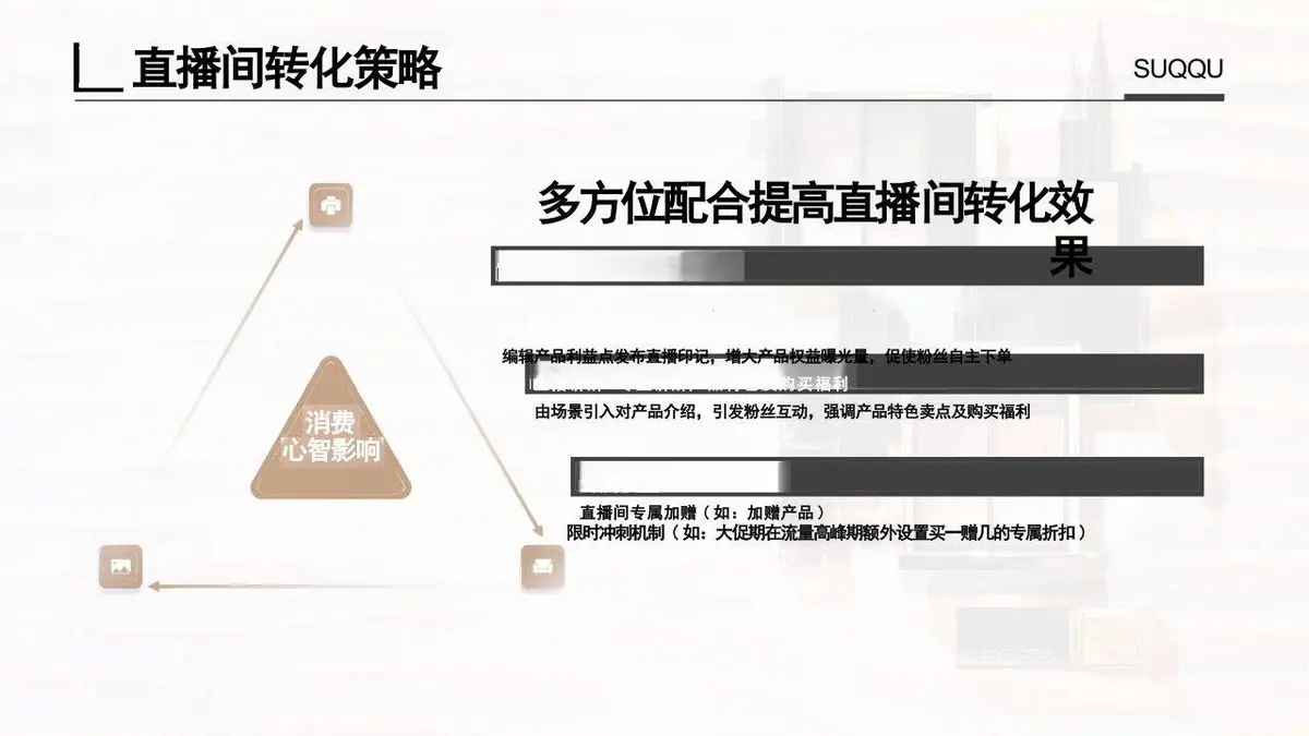 SUQQU海外旗舰店店铺直播方案PPT模板 - 第23页