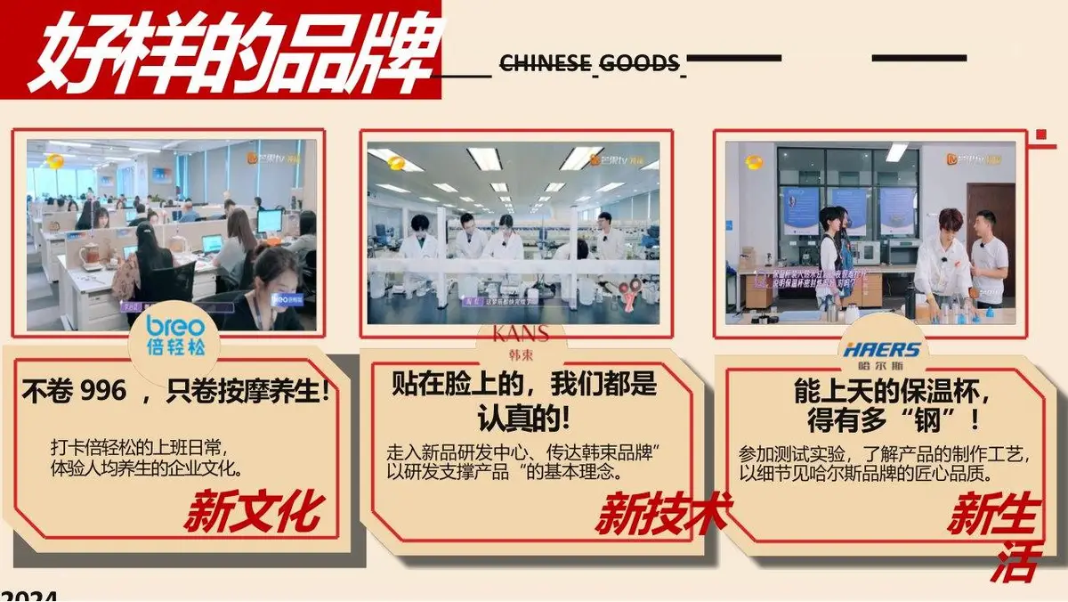 2024好样的国货第二季湖南卫视芒果TV招商方案PPT模板 - 第13页