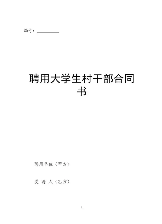 聘用大学生村干部合同书标准Word文档模板 - 封面预览