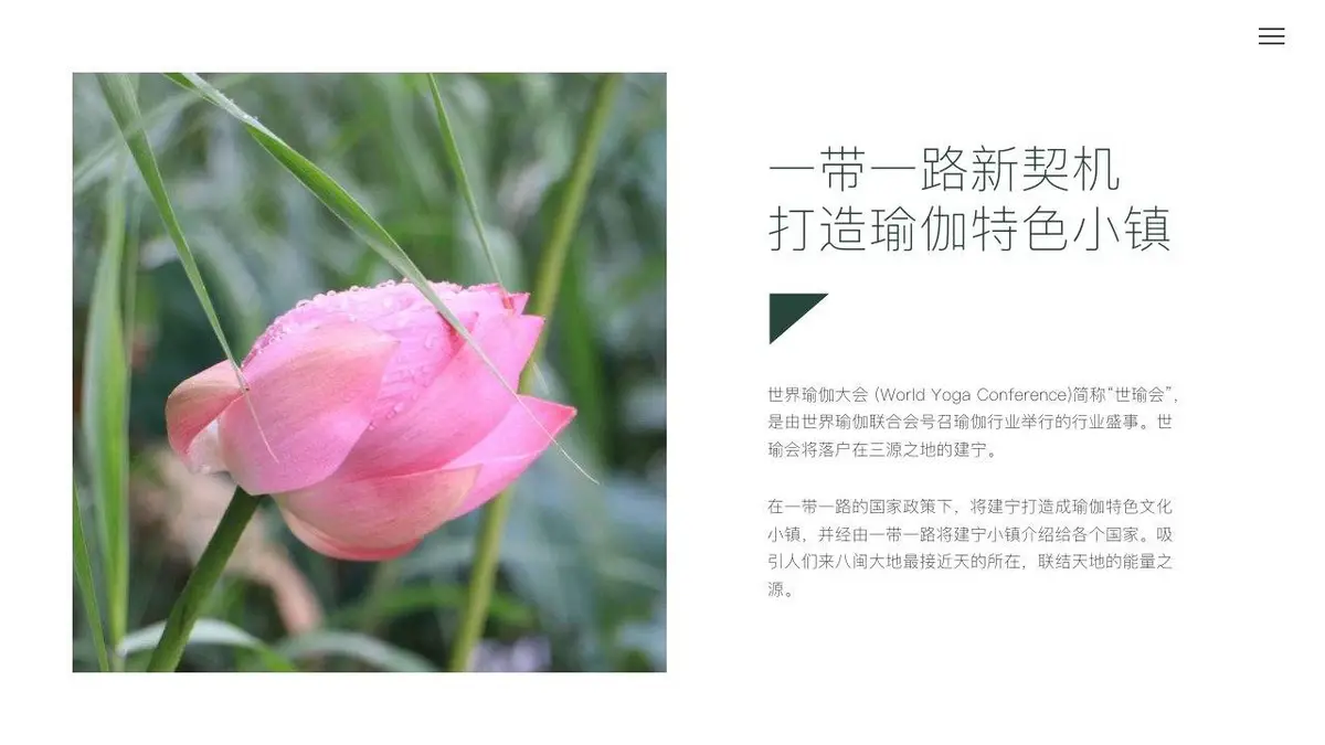 为荷而来瑜你有约瑜伽之旅旅游文化节活动策划PPT模板 - 第6页