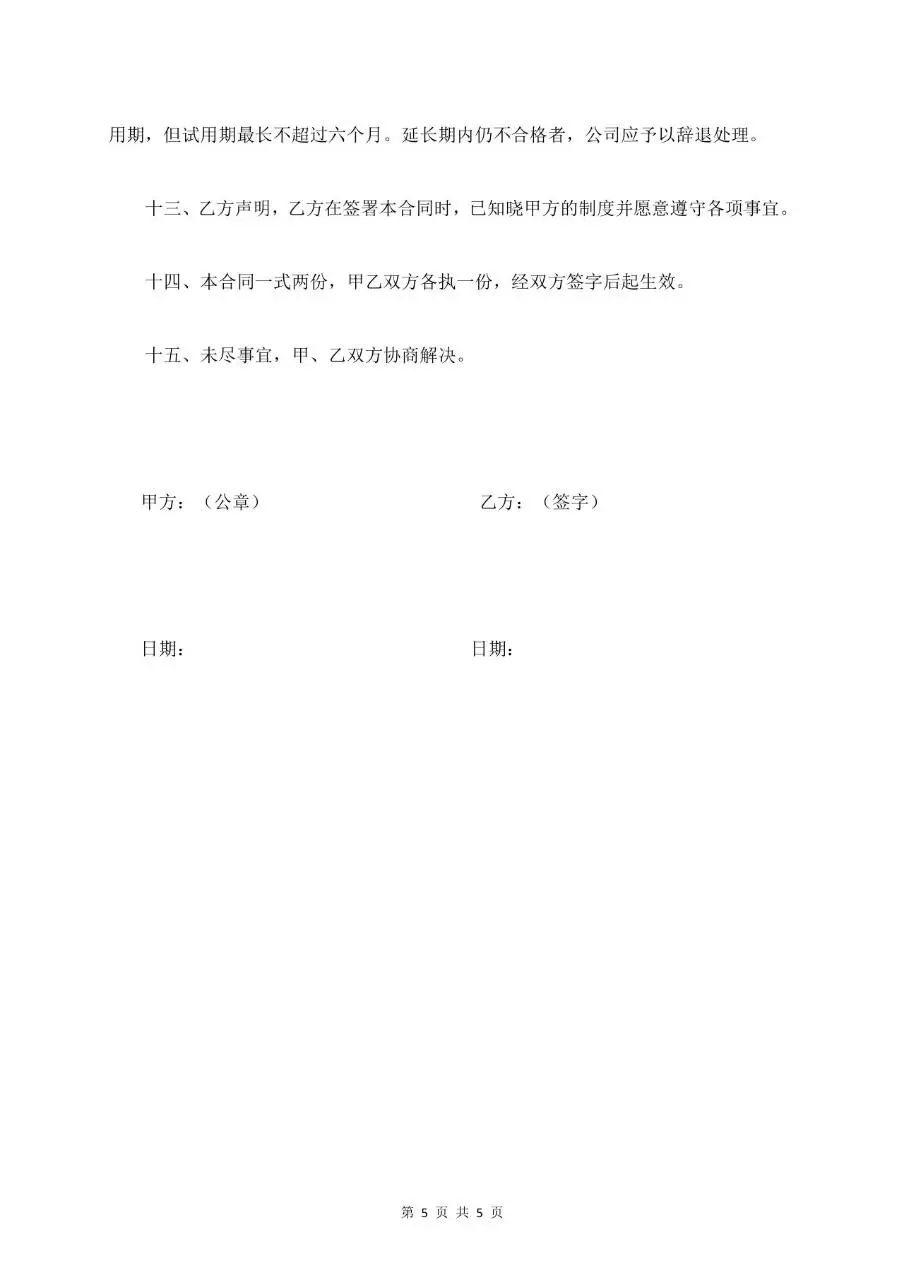 员工试用期劳动合同标准正式文档模板 - 第5页