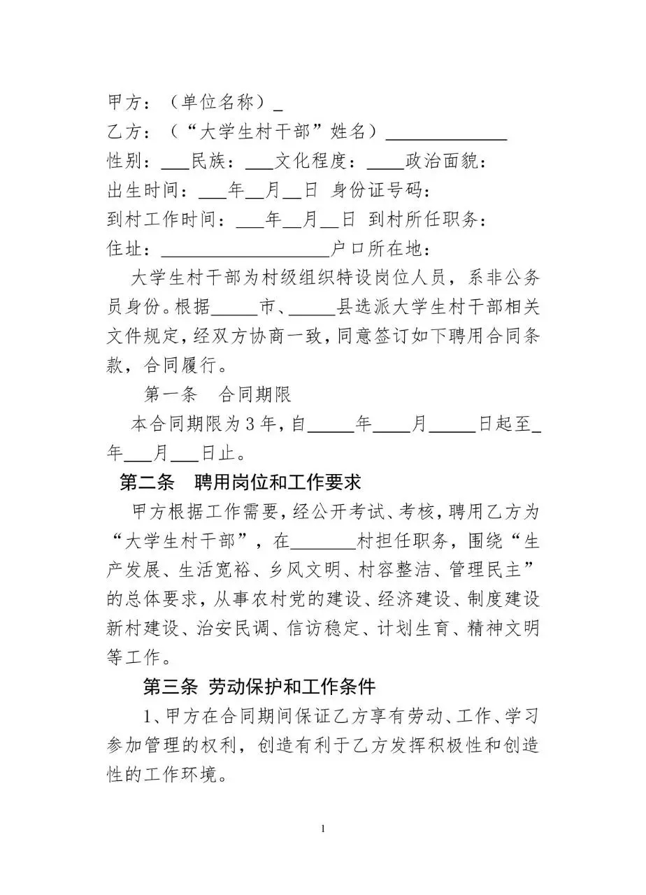 聘用大学生村干部合同书标准Word文档模板 - 第2页