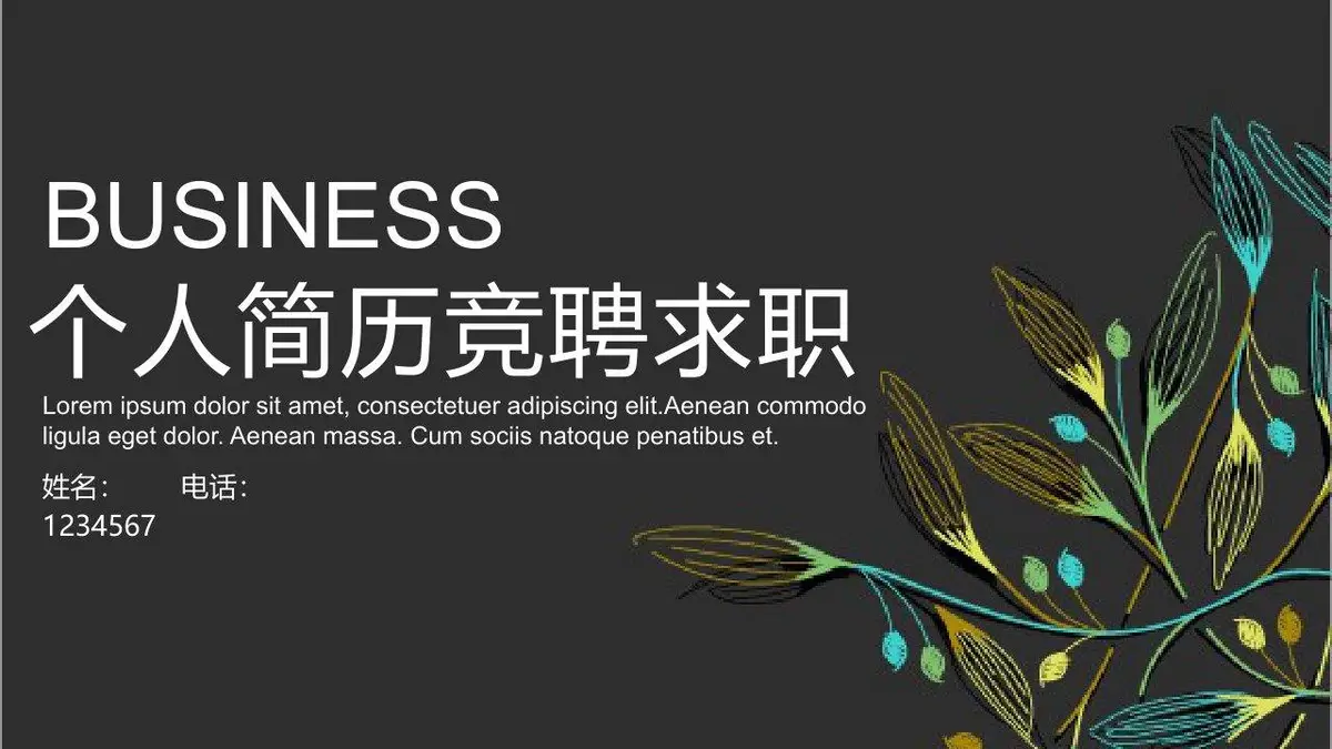 个人简历竞聘求职PPT模板 - 第1页