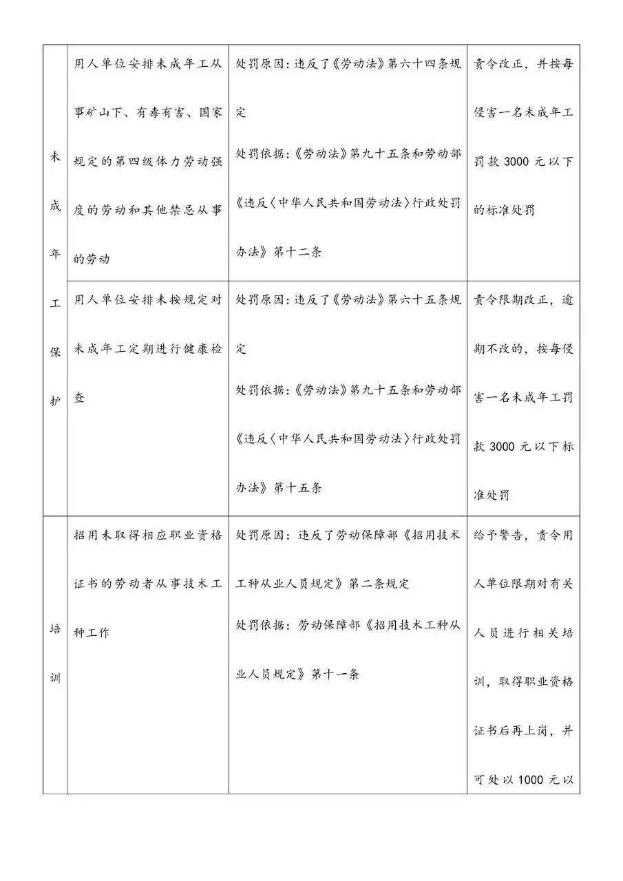 违反女职工和未成年工保护及持证上岗规定处罚一览表格模板 - 第3页