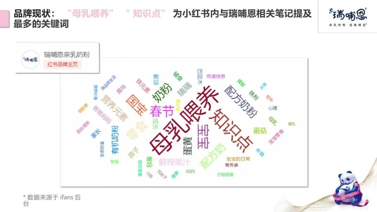 瑞哺恩X小红书内容营销方案PPT模板 - 第12页