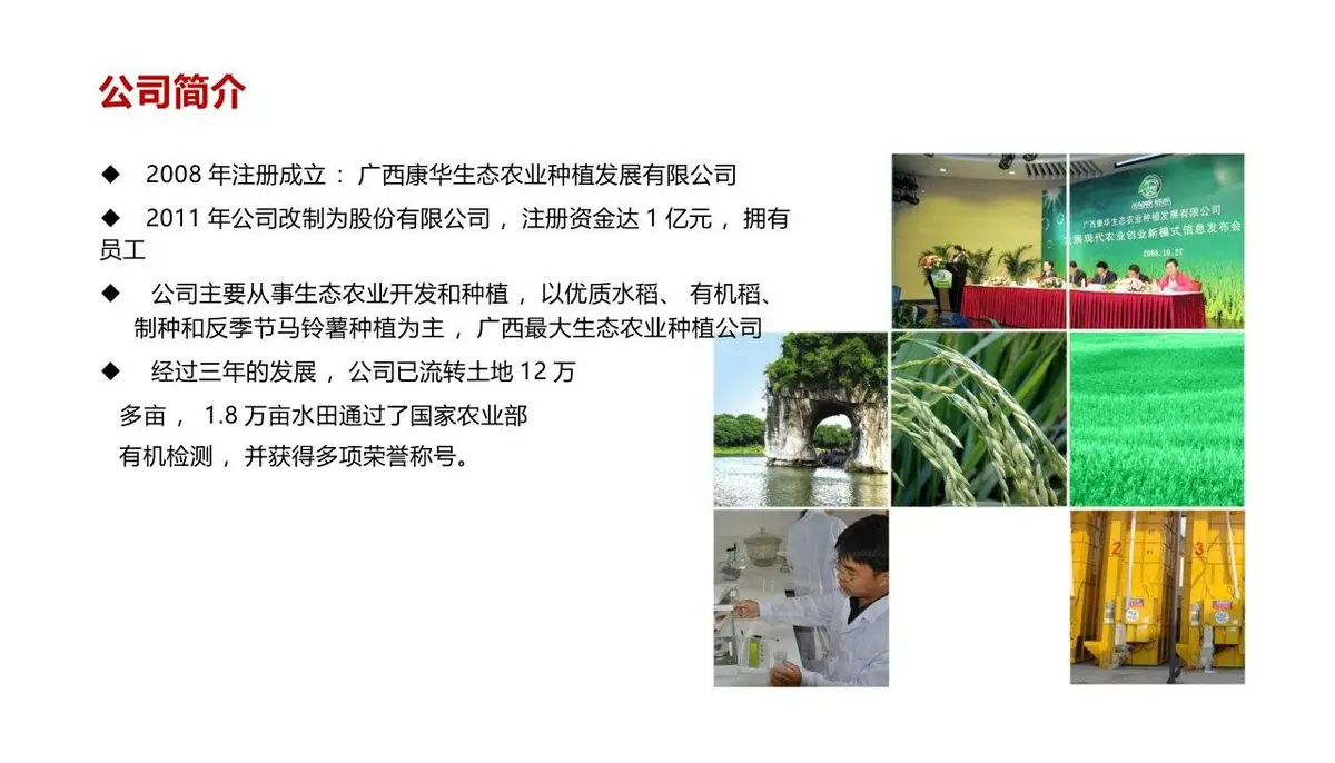康华有机米产品品牌策划方案PPT模板 - 第2页