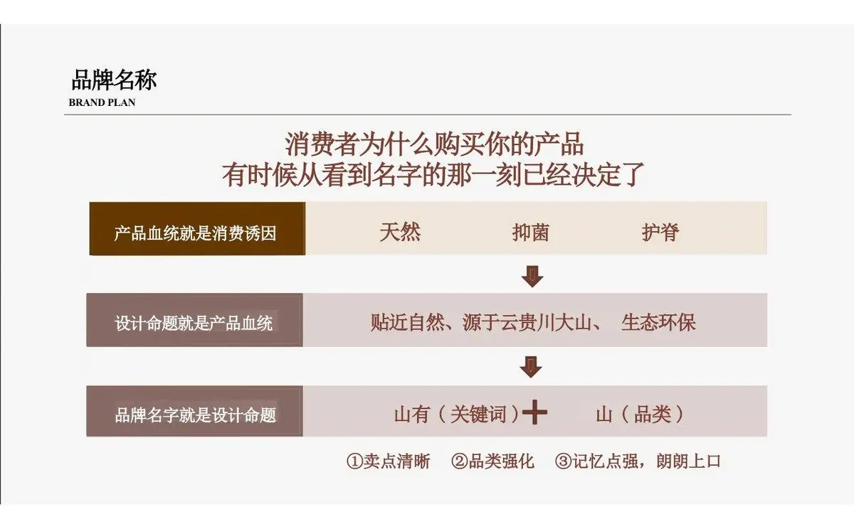 欢颜全新子品牌山棕系列品牌策划全案PPT模板 - 第16页
