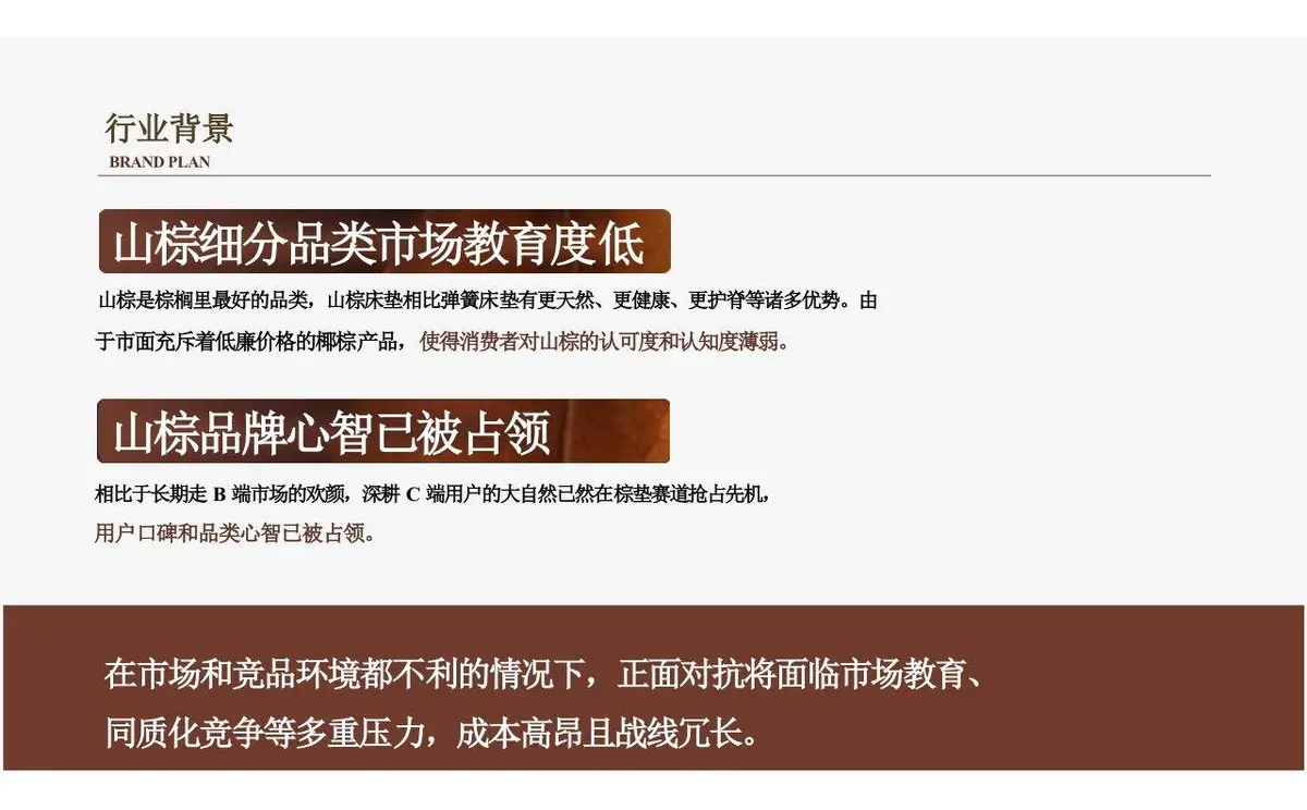 欢颜全新子品牌山棕系列品牌策划全案PPT模板 - 第8页