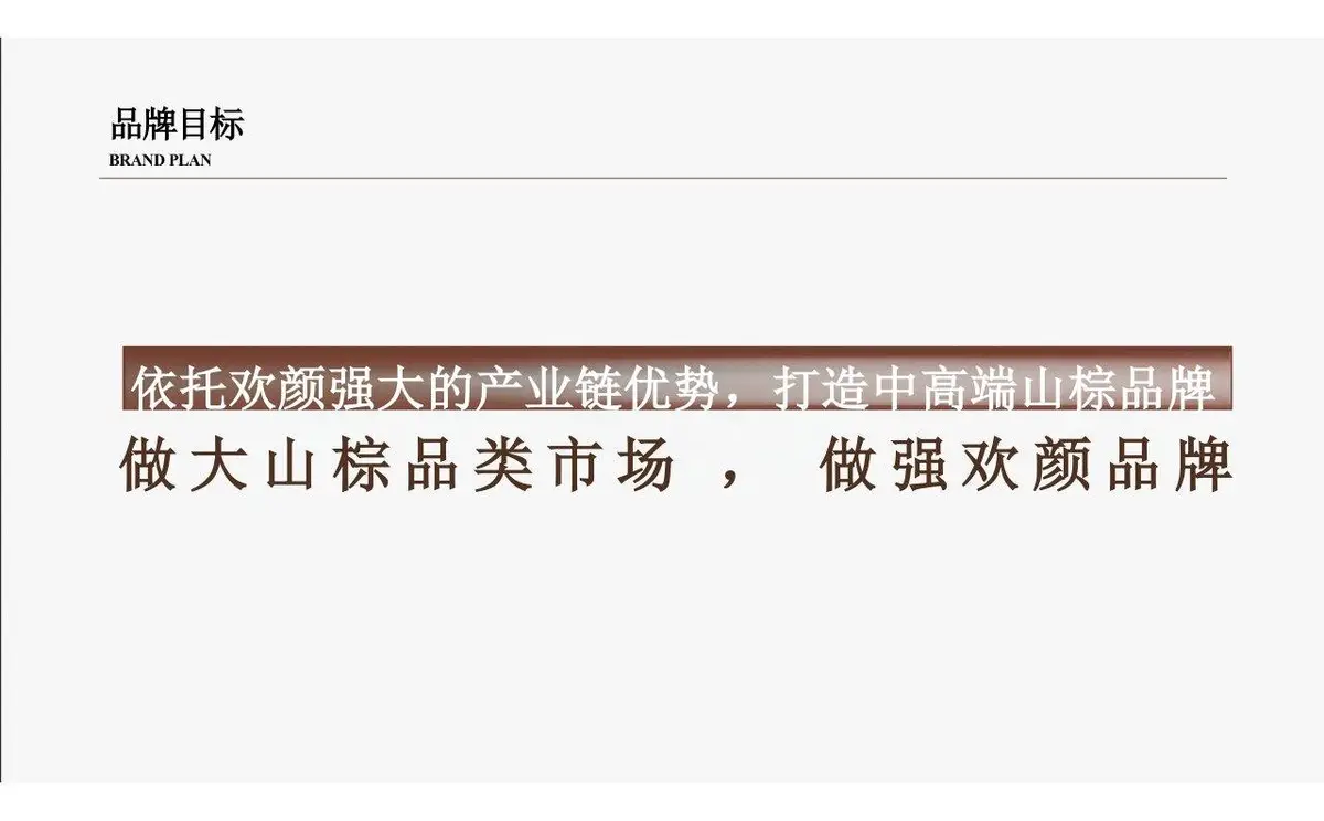 欢颜全新子品牌山棕系列品牌策划全案PPT模板 - 第12页