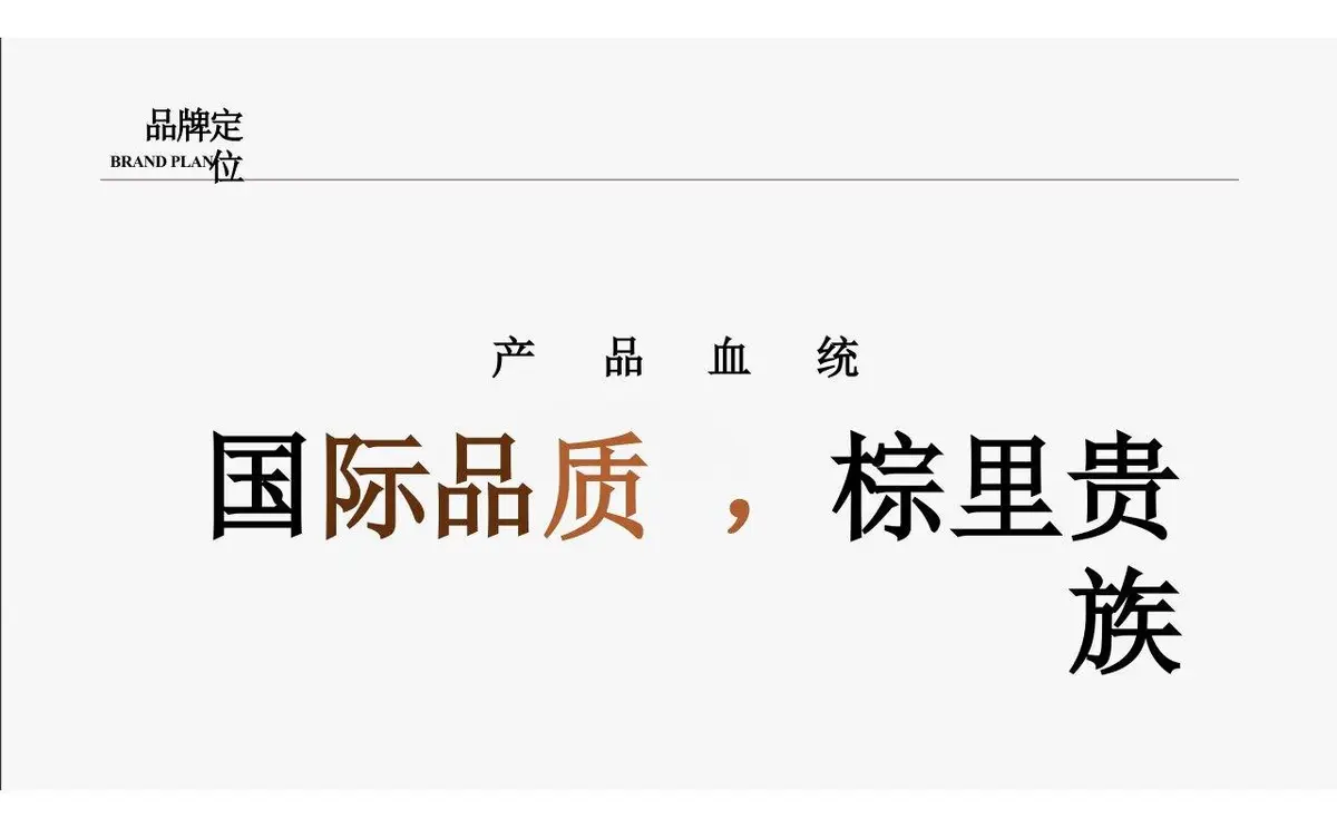 欢颜全新子品牌山棕系列品牌策划全案PPT模板 - 第14页