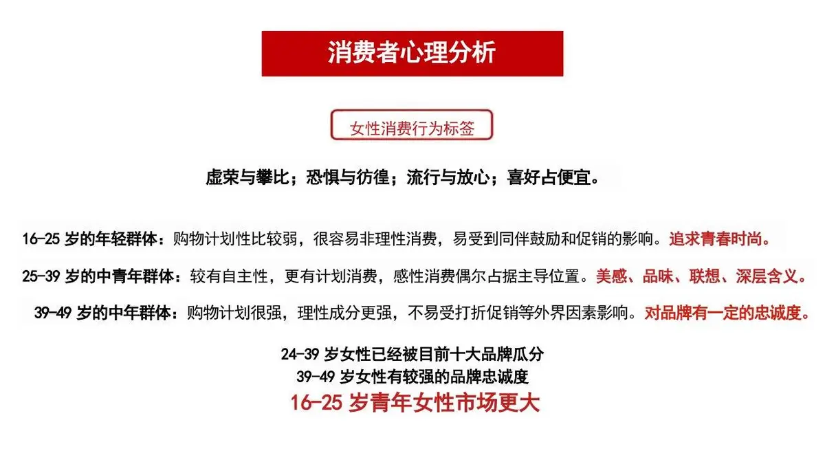 袜子产品策划方案PPT模板 时尚服饰品类营销推广演示文稿 - 第13页
