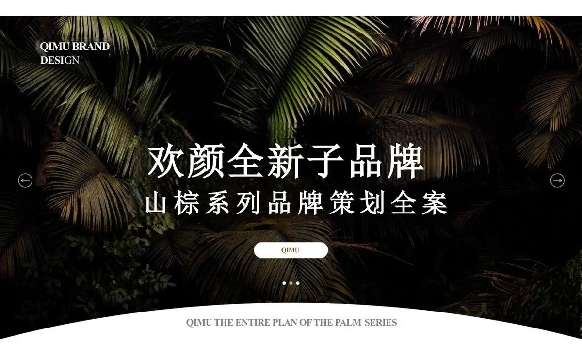 欢颜全新子品牌山棕系列品牌策划全案PPT模板 - 第1页